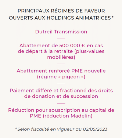 La détention de participations opérationnelles : Principaux régimes de faveur ouverts aux holdings animatrices